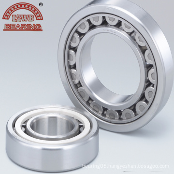 Single Row Brass Cage Cylindrical Roller Bearing